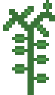 [d2ed95] coca