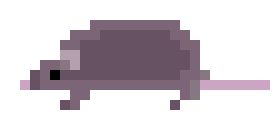[9664c4] rat