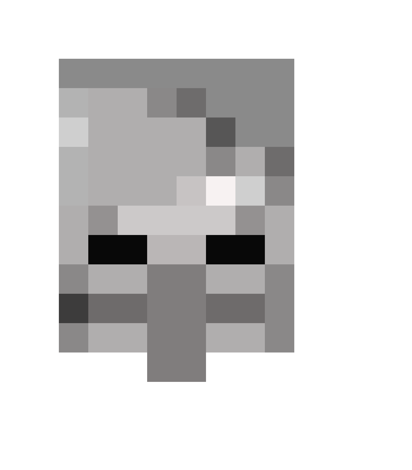 [57cf2e] Minecraft villager skeleton face 