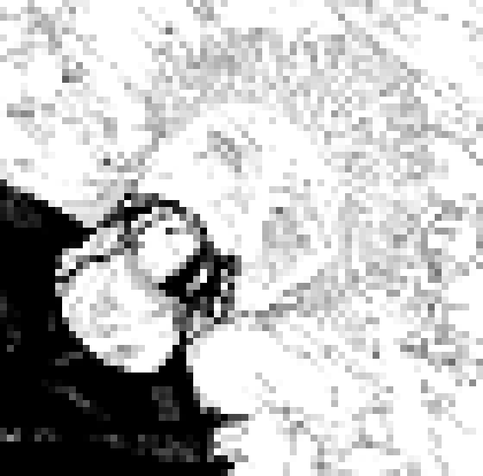 [006d2b] thinks.