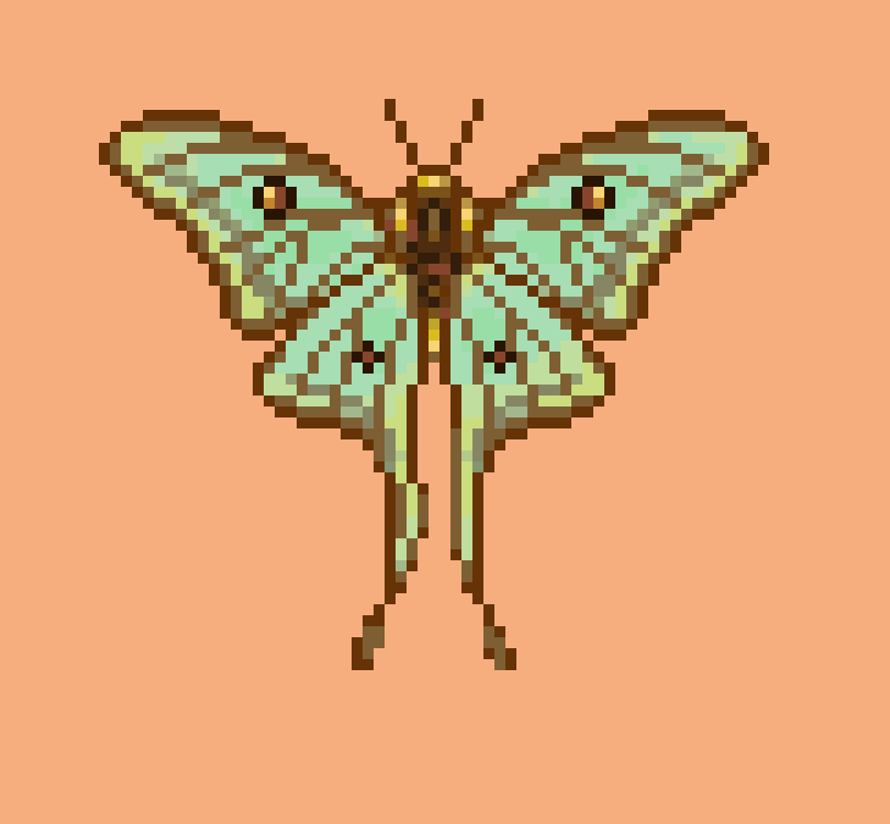 [9d8a2d] spanish moon moth