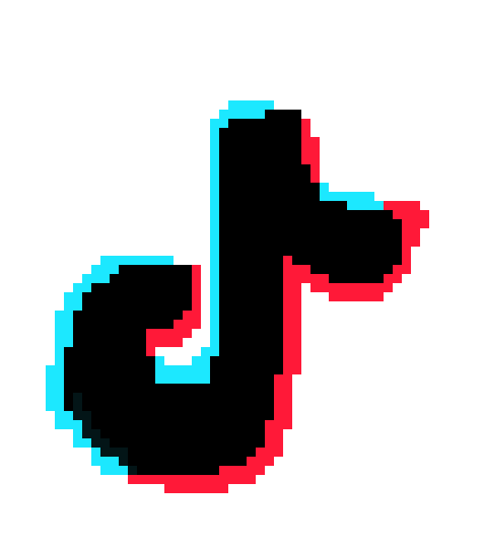 [209ee5] tiktok