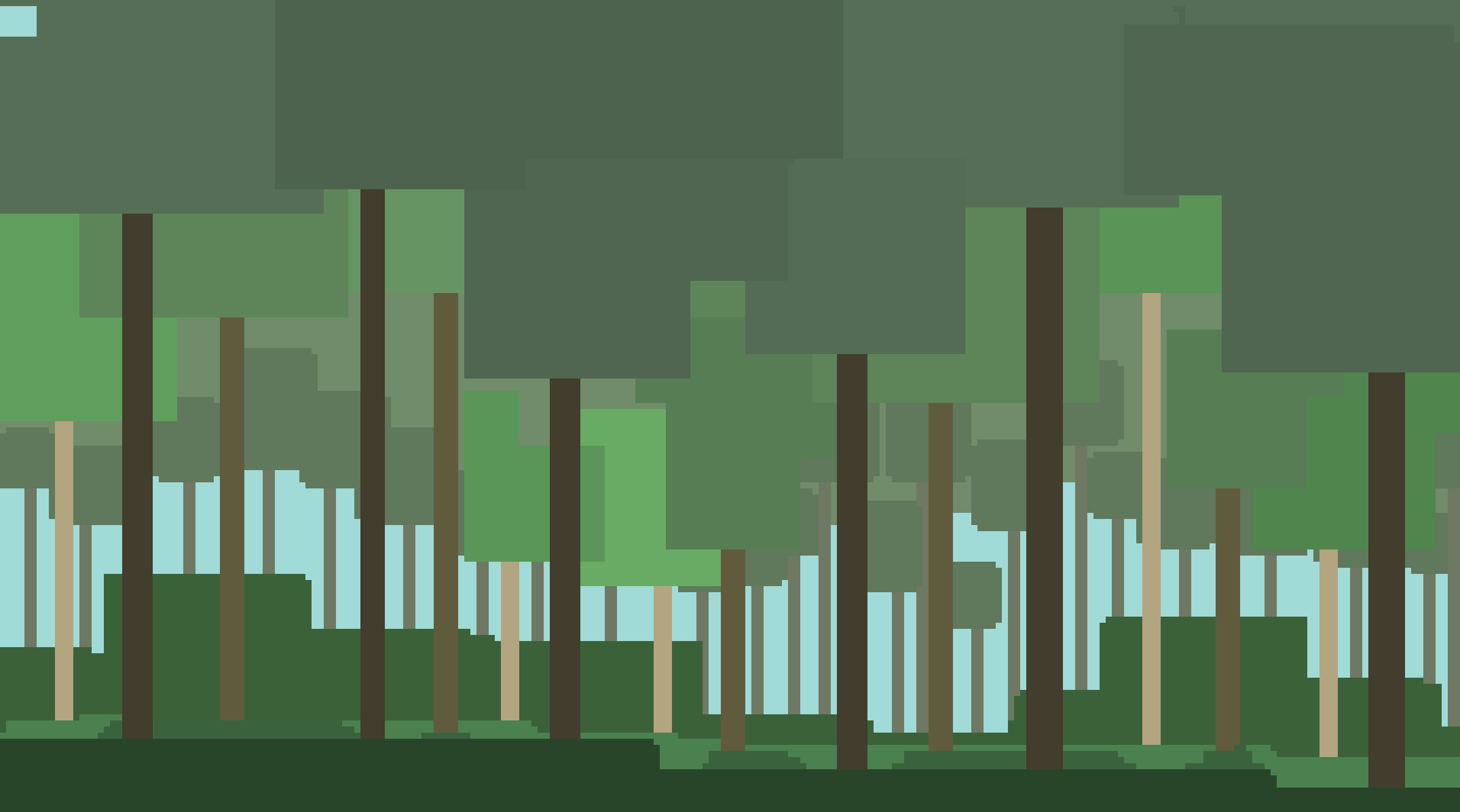 forest