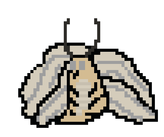 [6153d5] moth