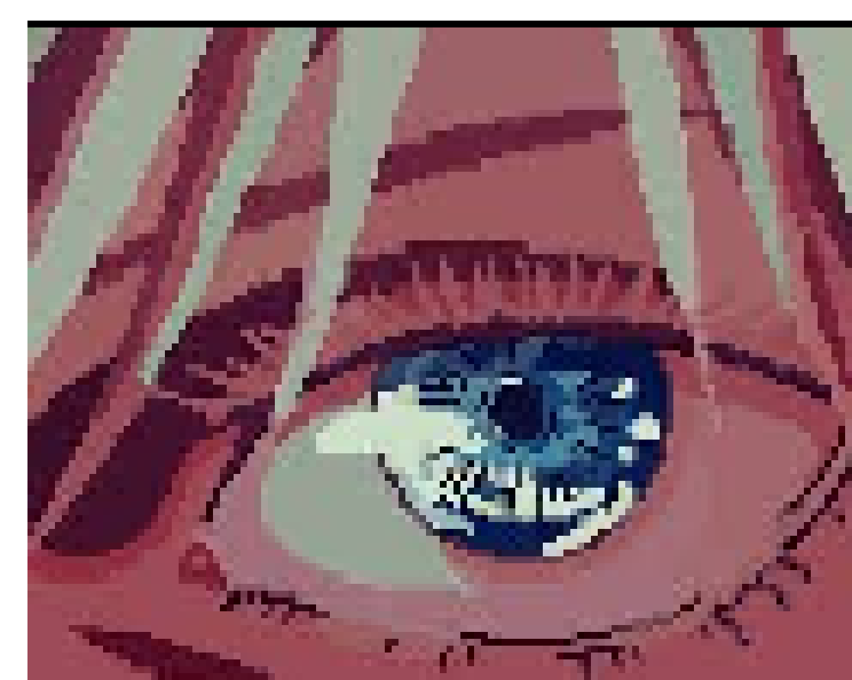 [8fa814] gojo