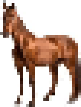 [050127] horse