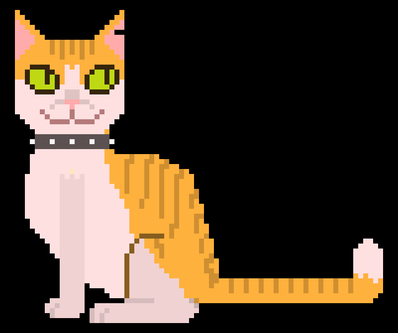 i have a cute kitty cat (plz read description ;-;)-oreo