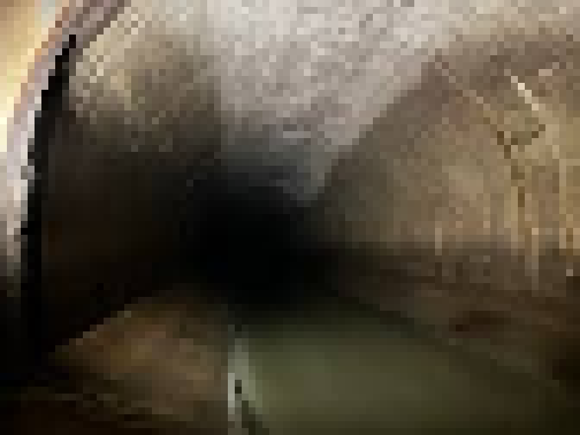 [bce8e5] EKUS TURN: eku collected the protein shake. eku discarded the protein shake. eku sees openings to the north and west..