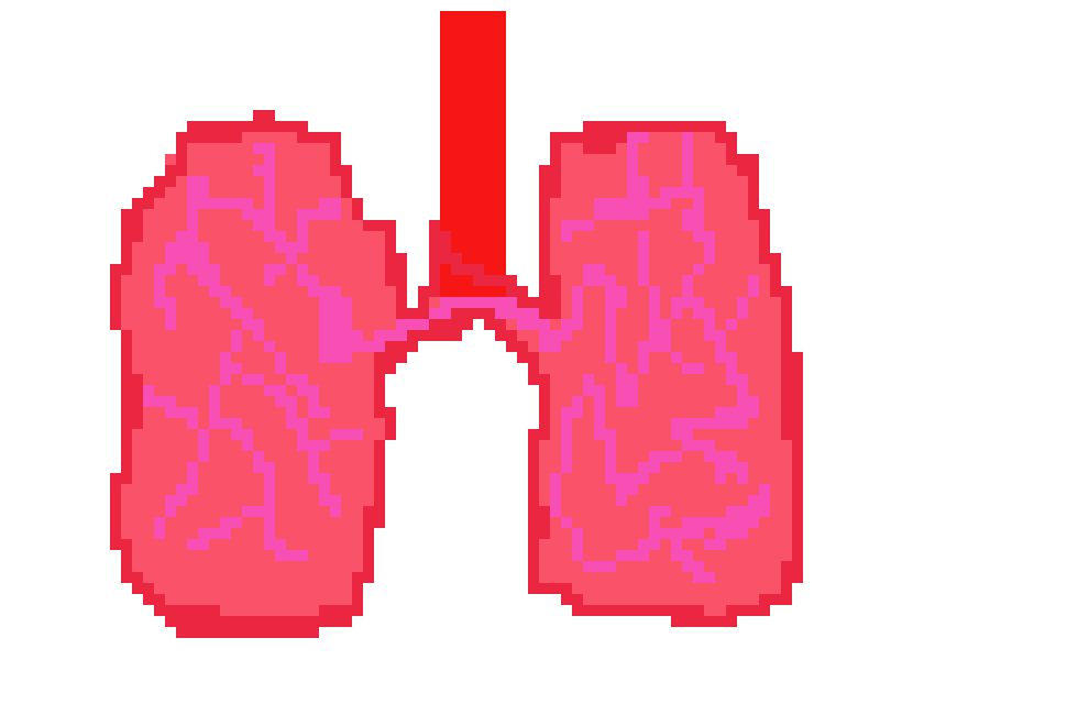 [2b4978] Lungs