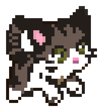Cute Cat 