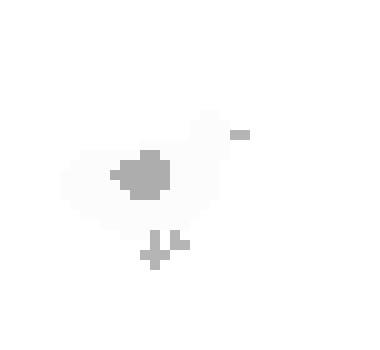 [075005] Silkie
