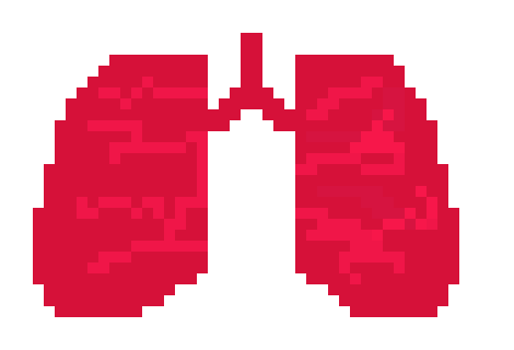 [2b4978] Pixel Lungs