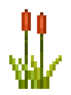 [76d477] Cat Tails