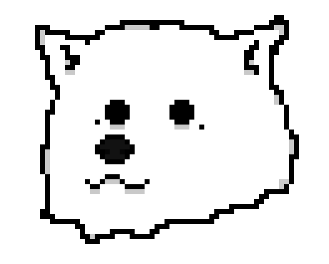 Samoyed Face