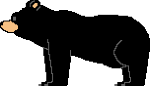 [9caba2] bear2