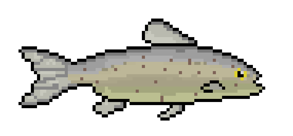 [650301] Salmon