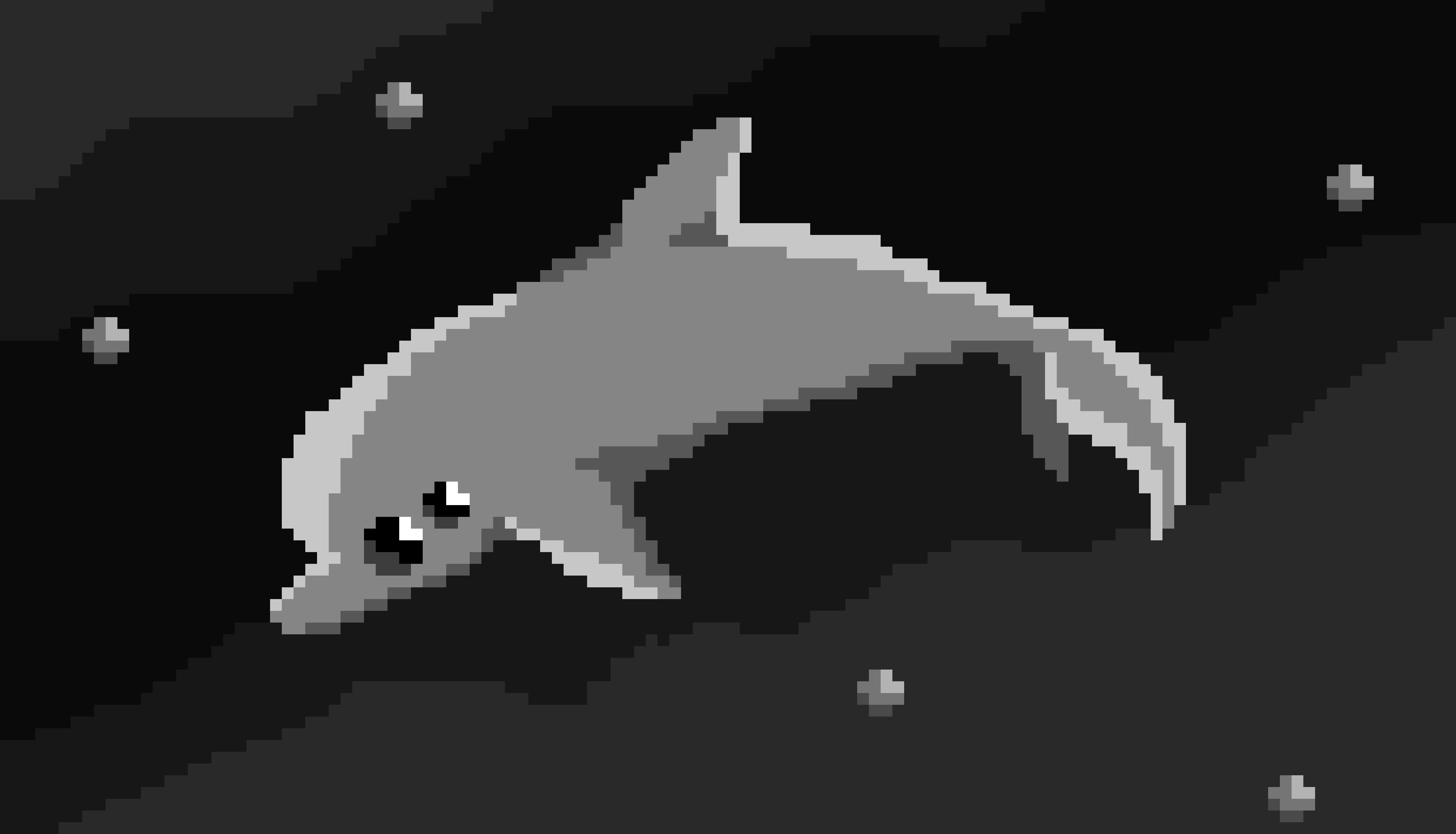 [9664c4] dolphin