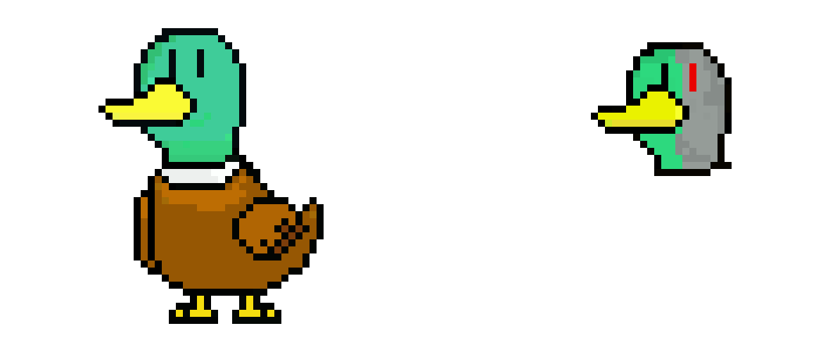 duck