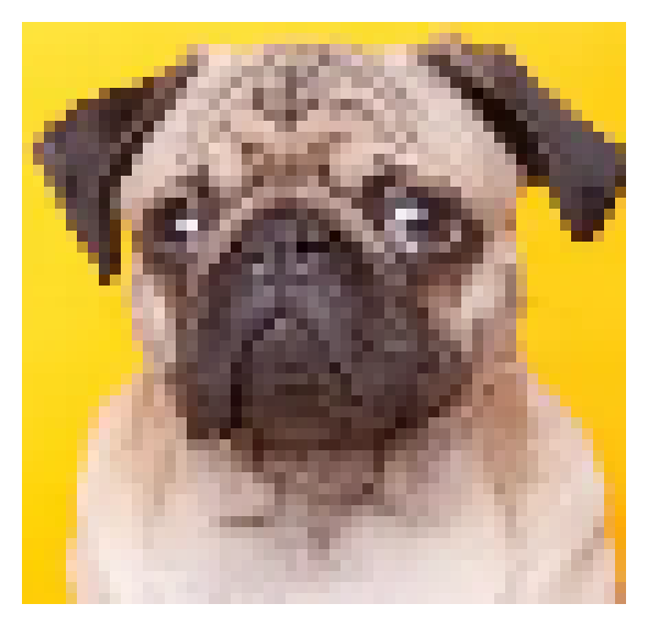 [3b57f3] puggty 