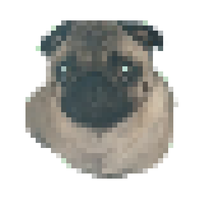 [6b0bb5] pug