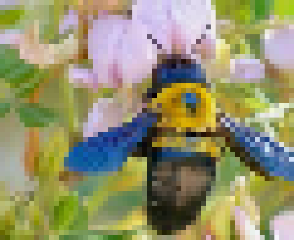 [cab1d1] I love carpenter bees I love carpenter bees I love carpenter bees I love carpenter bees I love carpenter bees I love carpenter bees I love carpenter bees I love carpenter bees I love carpenter bees I love carpenter bees I love carpenter bees I love carpenter bees I love carpenter bees I love carpenter bees I love carpenter bees 