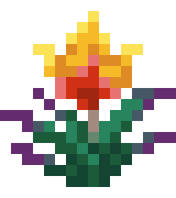[773966] torchflower