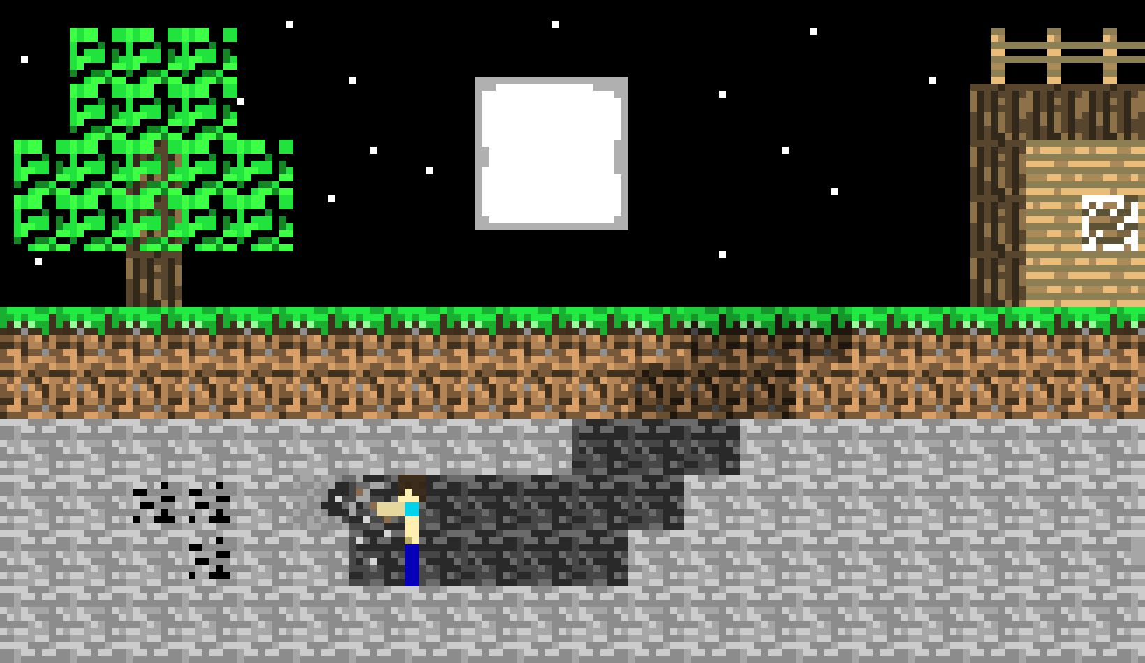 [9664c4] Minecraft Scene at night
