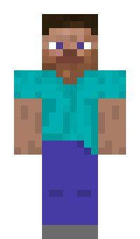 [f9973c] Steve