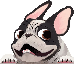 [dfdafc] Dog_34