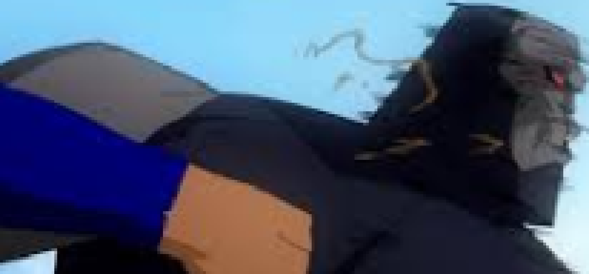 [e231eb] 𝘮𝘢𝘯- 𝘎𝘌𝘛 𝘖𝘍𝘍 𝘔𝘌! *caesar spins around and punches john so hard that his dust is flung back*