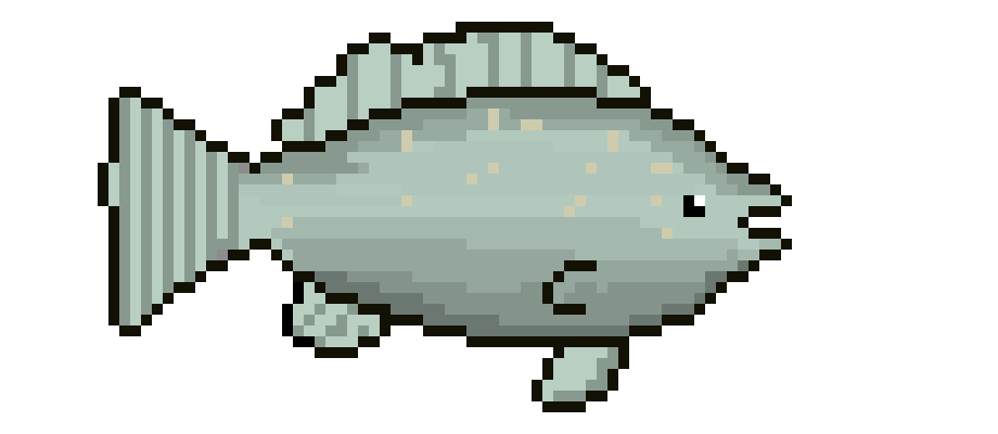 [650301] Tilapia
