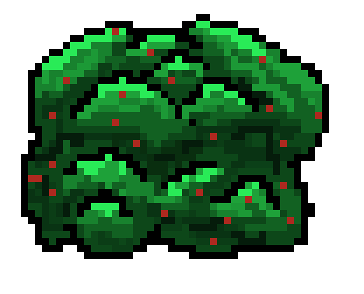 Bush Berries