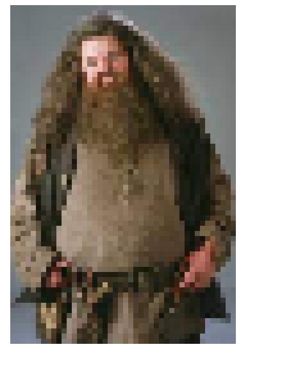 [b774ba] Hagrid