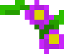 [552a57] purple flower