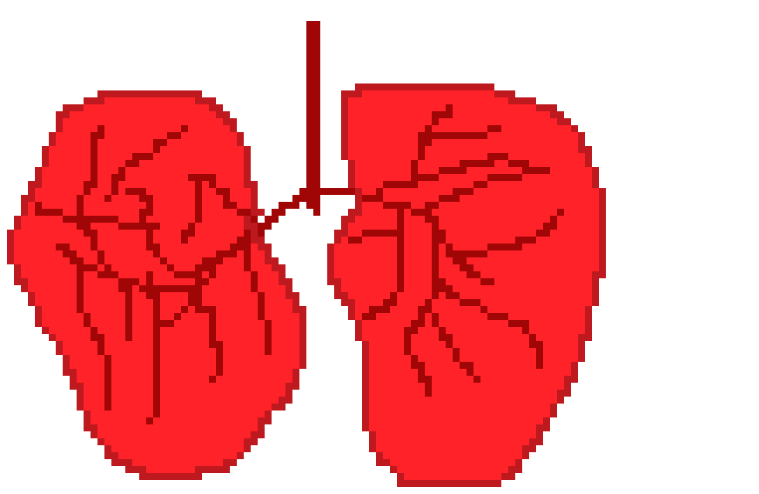 [401978] pixel lungs