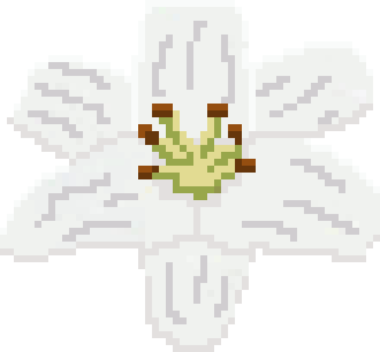 [cd16a4] Lilies