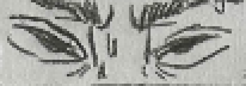 [bce8e5] its easy to look at others and let them know what we see from the outside, much easier than seeing the same things on ourselves
