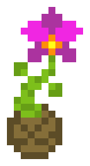 [060902] Orchid