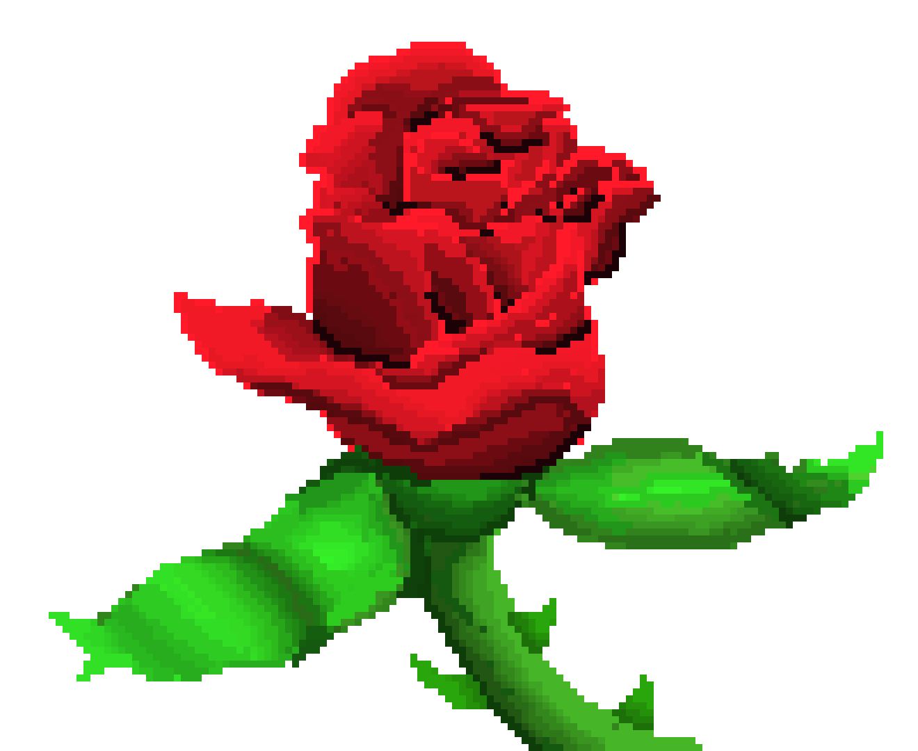 rose