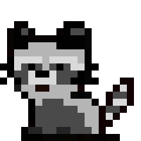 [4b51f1] racoon
