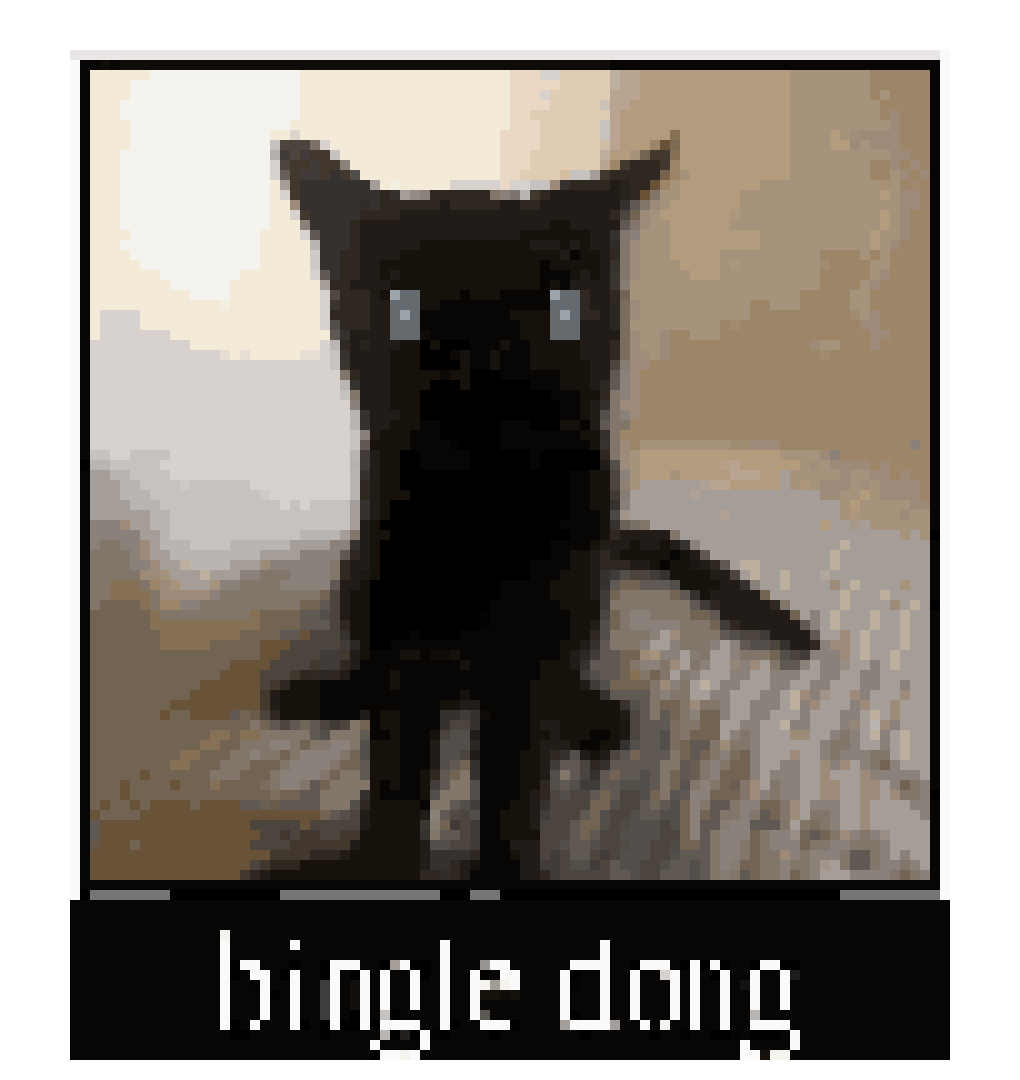 [b24cf8] bingle