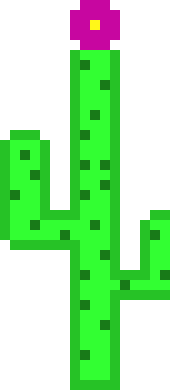 [996bf0] cactus with flower