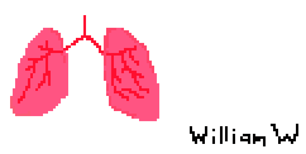 [2b4978] Lungs