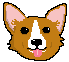 [9664c4] corgi