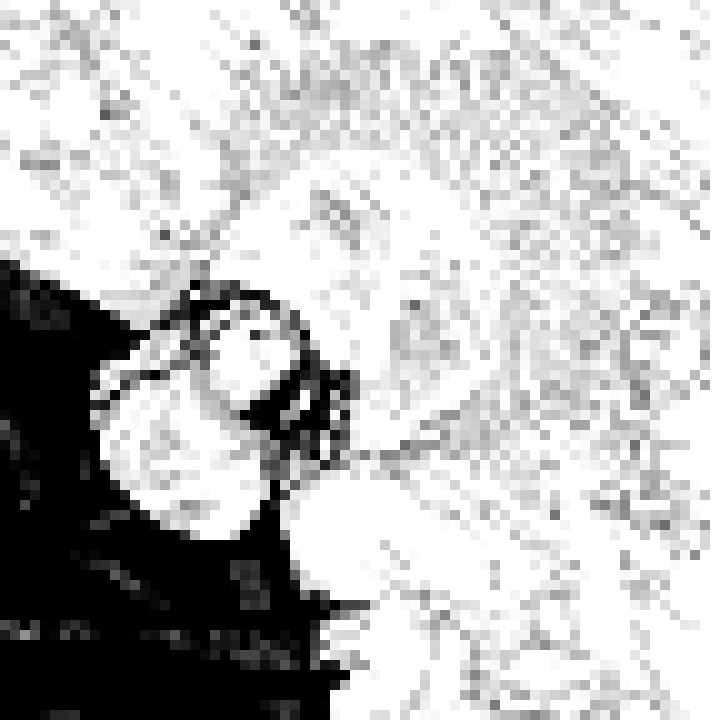 [41e90c] i meant sonicle as in like. son and chronicle. since people say shit like sonion and shit like that