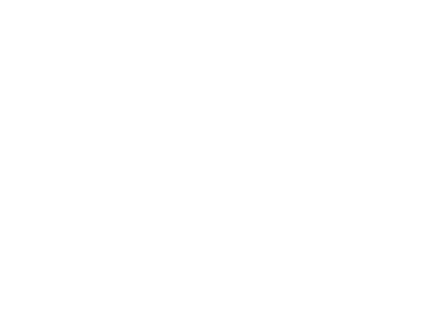 [9664c4] feiji