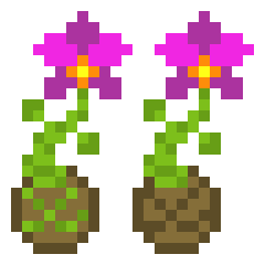 [060902] Orchids