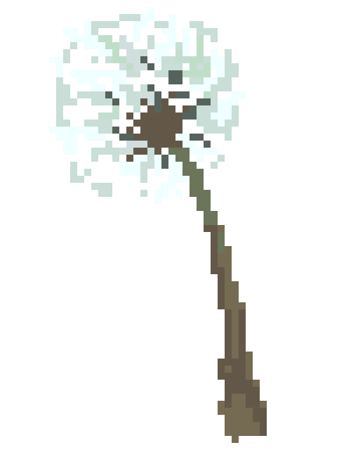 [100cc3] dandelion