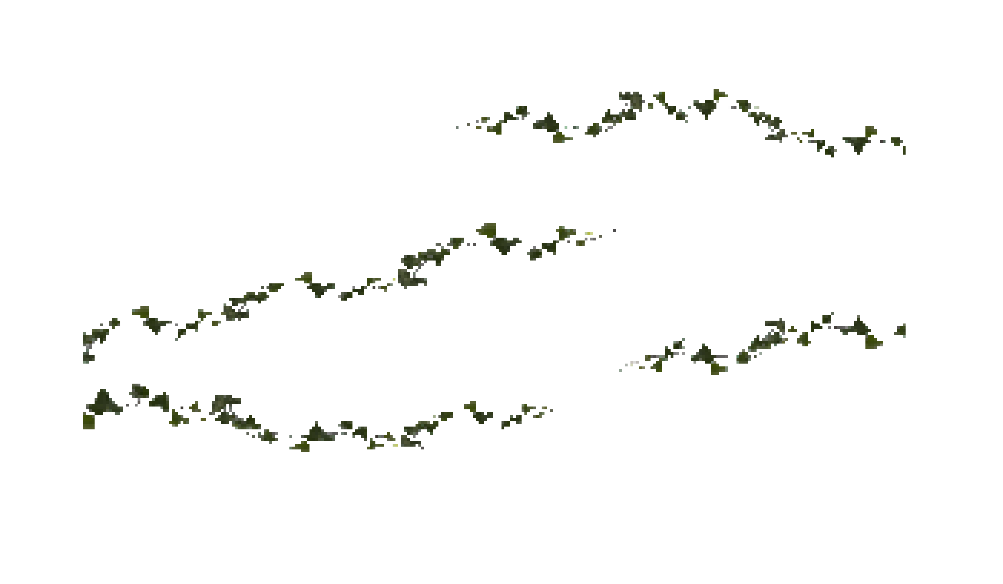 [495942] climbing plant background