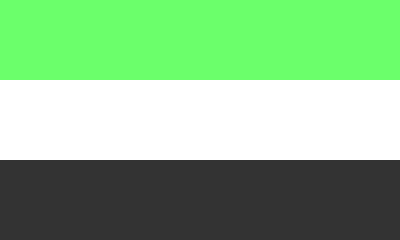 [379621] Agender flag